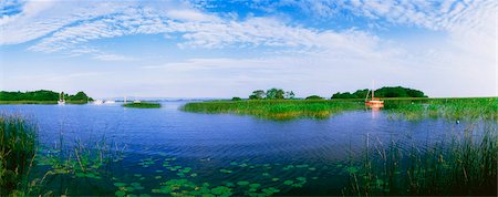 Terryglass, Lough Derg, Co Tipperary, Ireland Foto de stock - Con derechos protegidos, Código: 832-03640092