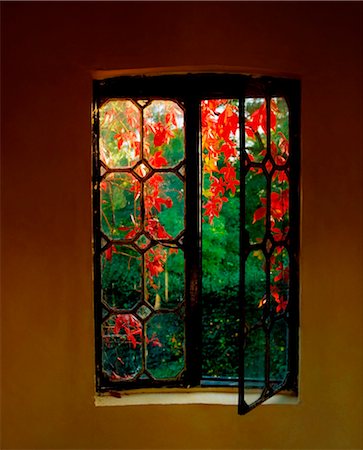 parra virgen - Butterstream Gardens, Co Meath, Ireland; Window With A View To A Garden Foto de stock - Con derechos protegidos, Código: 832-03640113