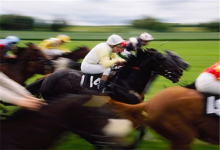 Horse Racing Foto de stock - Direito Controlado, Número: 832-03640178