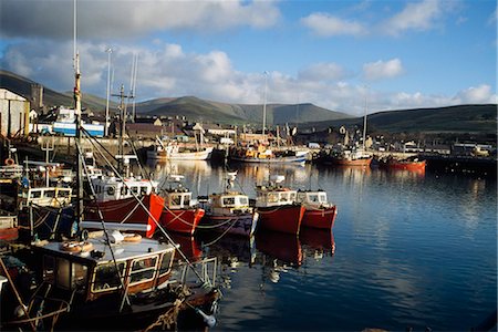 Dingle, Co Kerry, Ireland; Boats In A Port Foto de stock - Con derechos protegidos, Código: 832-03640204