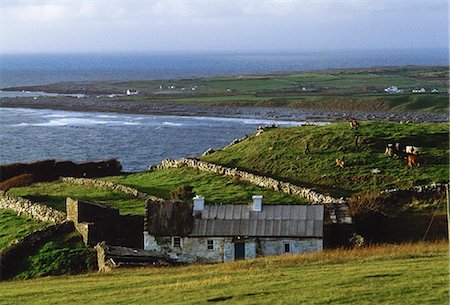 farmhouse with animals - Doolin Village, Co Clare, Ireland; Coastal Village On The Atlantic Coast Stock Photo - Rights-Managed, Code: 832-03640233