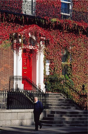 simsearch:694-03333040,k - Muckross Traditional Farms, Killarney National Park, County Kerry, Ireland; Exterior Of Ivy Covered Building Stock Photo - Rights-Managed, Code: 832-03640358