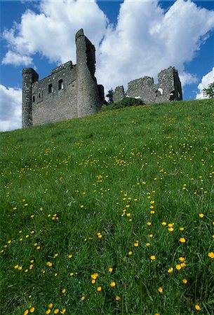 simsearch:832-03232311,k - Dunmoe Castle, Co Meath, Ireland; Castle And Home Of The D'arcy Family From The 15Th Century Stock Photo - Rights-Managed, Code: 832-03640373