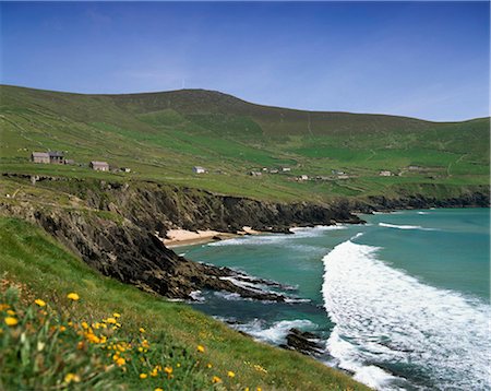 ridge - Co Kerry, Beenacouma Near Dunquin, Dingle Peninsula, Stock Photo - Rights-Managed, Code: 832-03640477