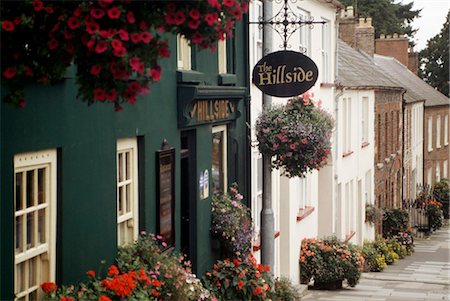 europe town flower - Co Down, Hillsborough Stock Photo - Rights-Managed, Code: 832-03640631