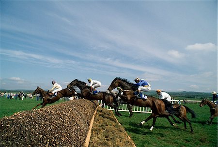 Hippodrome de Punchestown, comté de Kildare, Irlande Photographie de stock - Rights-Managed, Code: 832-03640749