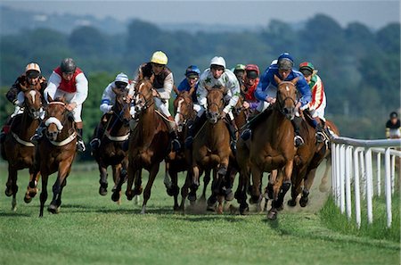 Horse Racing, Ireland Foto de stock - Con derechos protegidos, Código: 832-03640762
