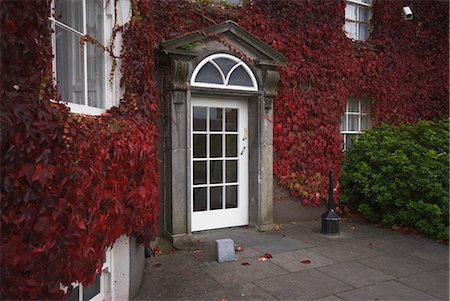 estate - Ivy-Covered Estate Stock Photo - Rights-Managed, Code: 832-03640927