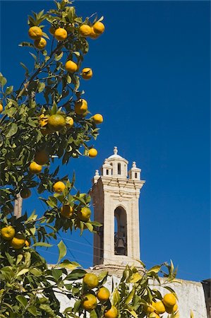 An orange tree frames the church at Omodhos Foto de stock - Con derechos protegidos, Código: 832-03724026