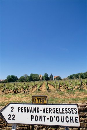 Burgundy vineyards with road sign Foto de stock - Con derechos protegidos, Código: 832-03724572