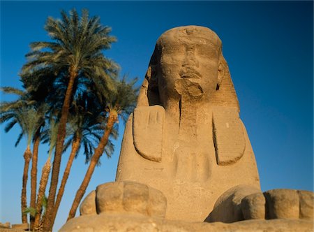 simsearch:832-03724631,k - Statue de sphinx devant les dattiers Photographie de stock - Rights-Managed, Code: 832-03724654
