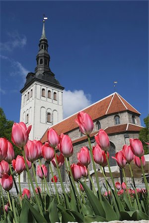 simsearch:832-03725006,k - Tulipes en dehors de l'église Niguliste, Tallinn, Estonie. Photographie de stock - Rights-Managed, Code: 832-03724752