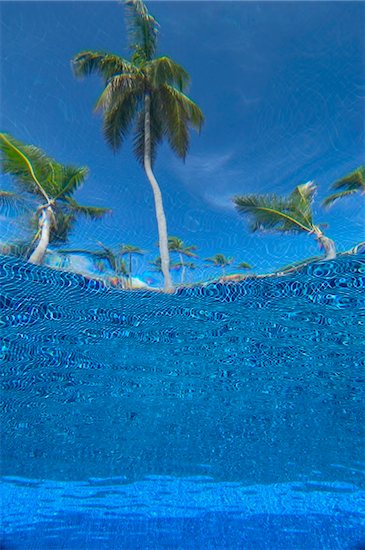 Looking up at palm trees from underwater in swimming pool Stock Photo - Premium Rights-Managed, Artist: IIC, Image code: 832-03724905