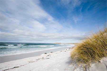 falkland island - Surf bay close to Port Stanley Stock Photo - Rights-Managed, Code: 832-03724950