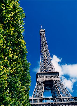 simsearch:832-03724870,k - The Eiffel Tower and shrub Foto de stock - Direito Controlado, Número: 832-03724984