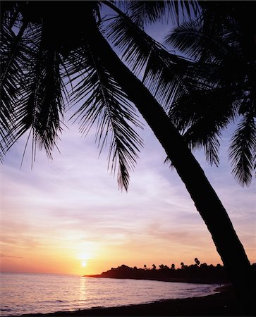 simsearch:832-03724626,k - Sunrise on beach near Puerto Plata Foto de stock - Con derechos protegidos, Código: 832-03725040