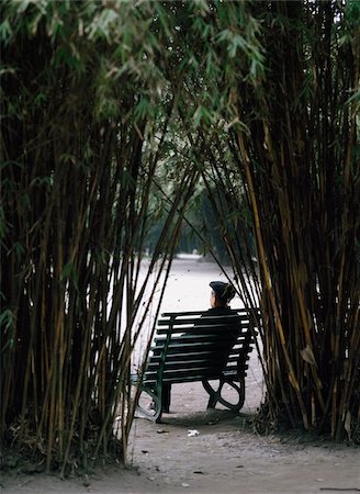 Man resting on bench in Bamboo Park Foto de stock - Direito Controlado, Número: 832-03723653