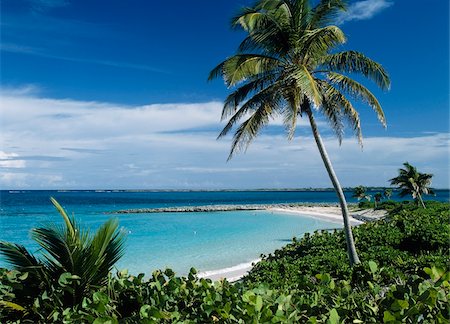 paradise island bahamas beach - Cabbage Beach, High Angle View Stock Photo - Rights-Managed, Code: 832-03723781