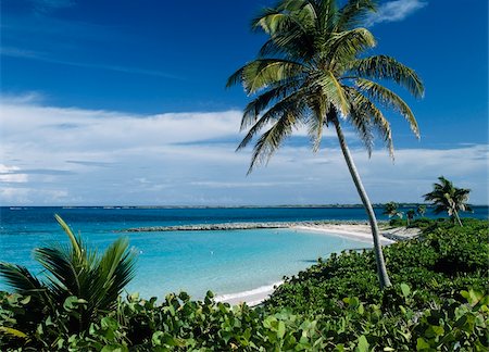 Cabbage Beach, High Angle View Stock Photo - Rights-Managed, Code: 832-03723781