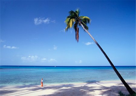 Tourist walking on West Coast beach Stock Photo - Rights-Managed, Code: 832-03723824