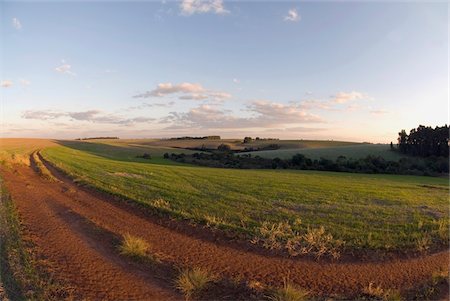 Chemin de terre courbée, objectif Fisheye Photographie de stock - Rights-Managed, Code: 832-03723874