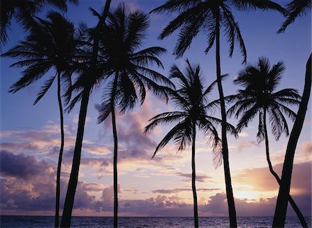 Aube sur la plage de la baie de fond Photographie de stock - Rights-Managed, Code: 832-03723903