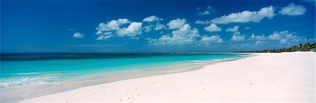 palmera - Empty white sand tropical beach Foto de stock - Con derechos protegidos, Código: 832-03723966