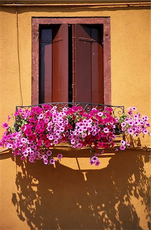 flowers european balcony - Windows - Burano, Venice Stock Photo - Rights-Managed, Code: 845-04826947