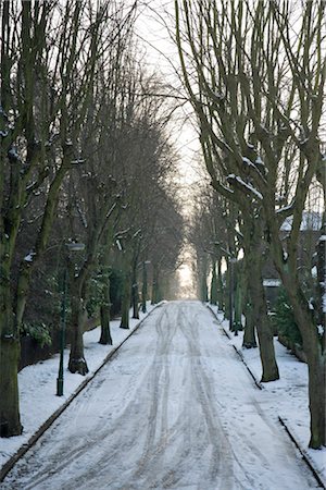 simsearch:845-03721365,k - Suburban street in late winter afternoon, Nottingham. Stock Photo - Rights-Managed, Code: 845-05837984