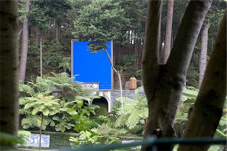 regiao autonoma da madeira - Garden feature in public park, Madeira, Portugal. Stock Photo - Rights-Managed, Code: 845-06008095