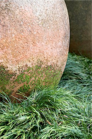 simsearch:845-03777421,k - Moss grows on garden ornament in Madeira, Portugal. Stock Photo - Rights-Managed, Code: 845-06008093