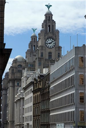 The Liver Building, Liverpool, Merseyside, England. Architects: Walter Aubrey Thomas Foto de stock - Con derechos protegidos, Código: 845-06008392