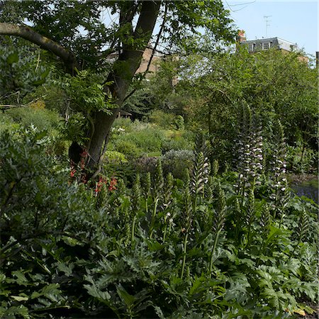 english garden landscaping - Chelsea Physic Garden, Kensington, London. Stock Photo - Rights-Managed, Code: 845-02725848