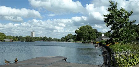 flower park in london - Hyde Park, London. Stock Photo - Rights-Managed, Code: 845-02725939