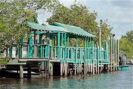 simsearch:845-02726227,k - Captain Dougs Airboats, Everglades City, Florida Foto de stock - Con derechos protegidos, Código: 845-02726188