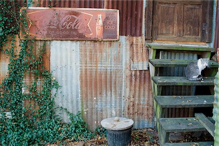 Bayou Cabin, Breaux Bridge, Louisiana Stock Photo - Rights-Managed, Code: 845-02726247