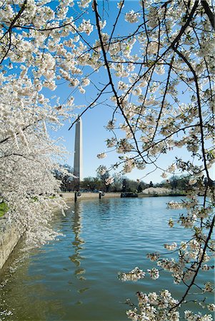 simsearch:845-02726301,k - Washington Monument, Washington DC, 1884. Architect: Robert Mills Foto de stock - Con derechos protegidos, Código: 845-02726367