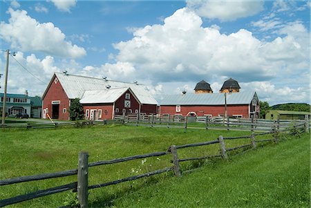 simsearch:845-02726227,k - Dairy Farm, Vermont. Foto de stock - Con derechos protegidos, Código: 845-02726361