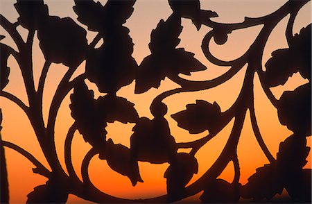 Detail  leaf pattern iron gate sunset Stock Photo - Rights-Managed, Code: 845-02728998