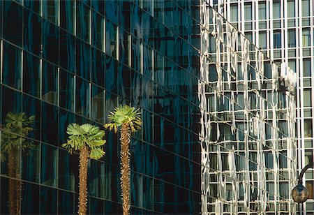 palm tree and office - Offices and palm trees, business district Madrid, Spain Stock Photo - Rights-Managed, Code: 845-02728999