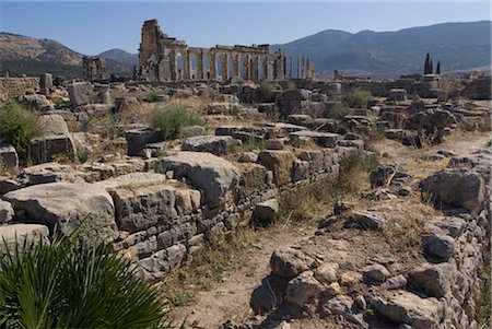 to Basilica, Numidian, Roman site of Volubilis, near Meknes, Morocco Foto de stock - Con derechos protegidos, Código: 845-03464428