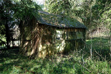 An old cottage in the woods, England Stock Photo - Rights-Managed, Code: 845-03464466