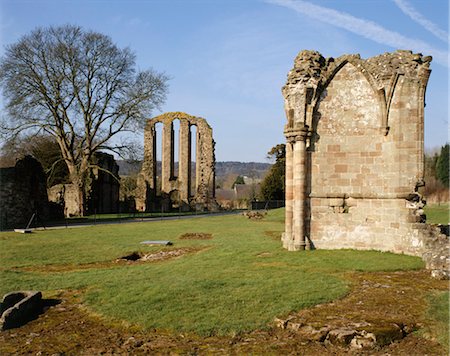 Croxden Abbey. Detail. Foto de stock - Direito Controlado, Número: 845-03464711