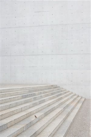 Sparrow perched on steps, Paul Loebe Building, Berlin. Architects: Axel Schultes, Charlotte Frank and Christoph Witt Foto de stock - Con derechos protegidos, Código: 845-03463509