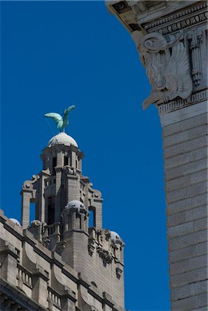 Detail of the Liver Building, Liverpool, Merseyside, England.  Architects: Walter Aubrey Thomas Foto de stock - Con derechos protegidos, Código: 845-03552612