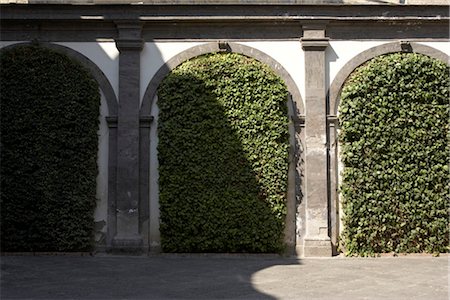 Castel Sant'Elmo clipped ivy panels and shadows, Naples. Foto de stock - Con derechos protegidos, Código: 845-03720719