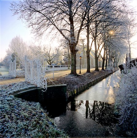 frosty morning - Zuid-Holland, farm and gate near Nieuwerbrug on a frosty morning. Stock Photo - Rights-Managed, Code: 845-03720996