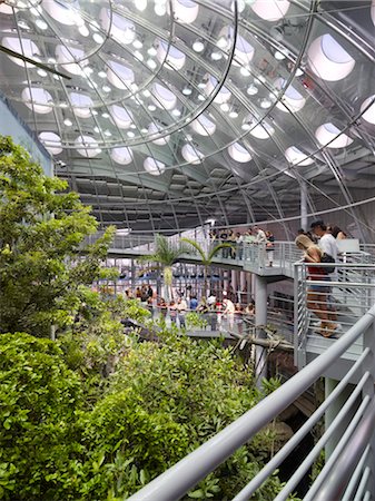 eco - California Academy of Sciences. Interior showing ceiling. Architects: Renzo Piano Building Workshop Stock Photo - Rights-Managed, Code: 845-03721059