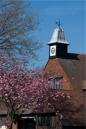 simsearch:845-03721222,k - St Barnabas Parish Hall with tree blossom in th foreground, Dulwich Village, London, SE21, England Foto de stock - Con derechos protegidos, Código: 845-03721204