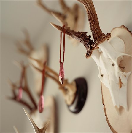 simsearch:845-04827132,k - Wall mounted antlers hung with jewels. Stock Photo - Rights-Managed, Code: 845-03777465
